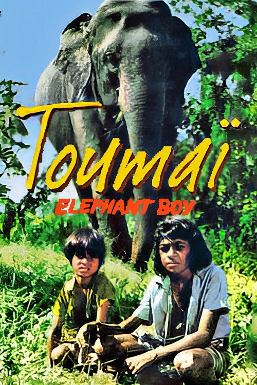 Elephant Boy