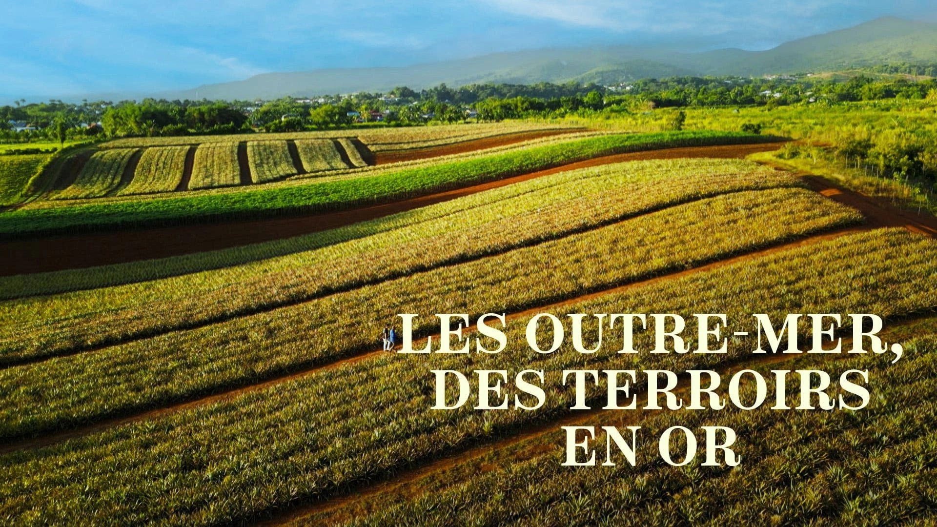 Les Outre-mer, des terroirs en or