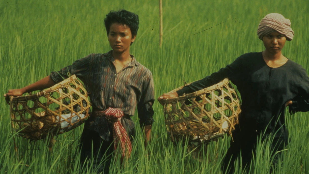 Rice People
