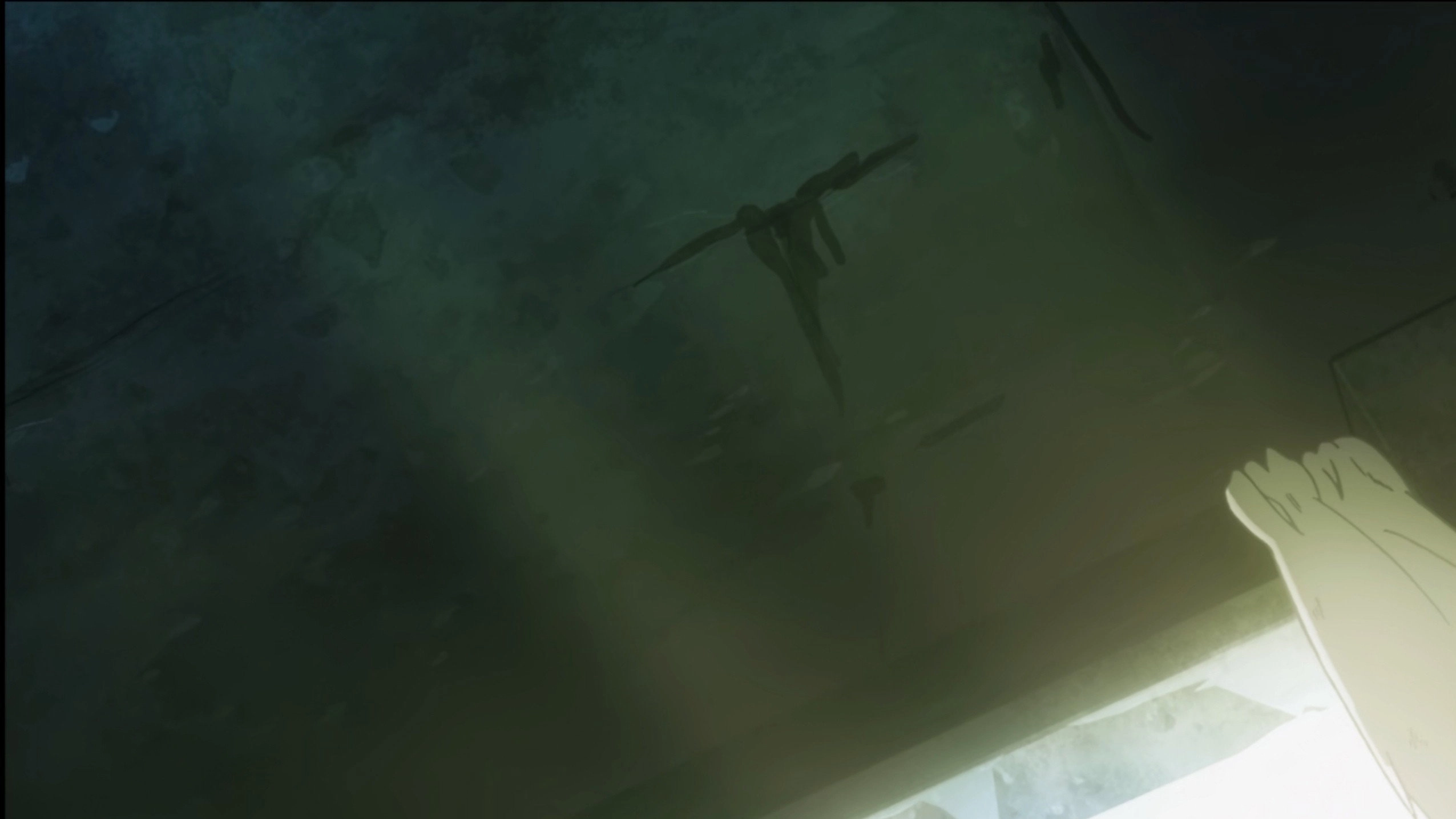 Coppelion