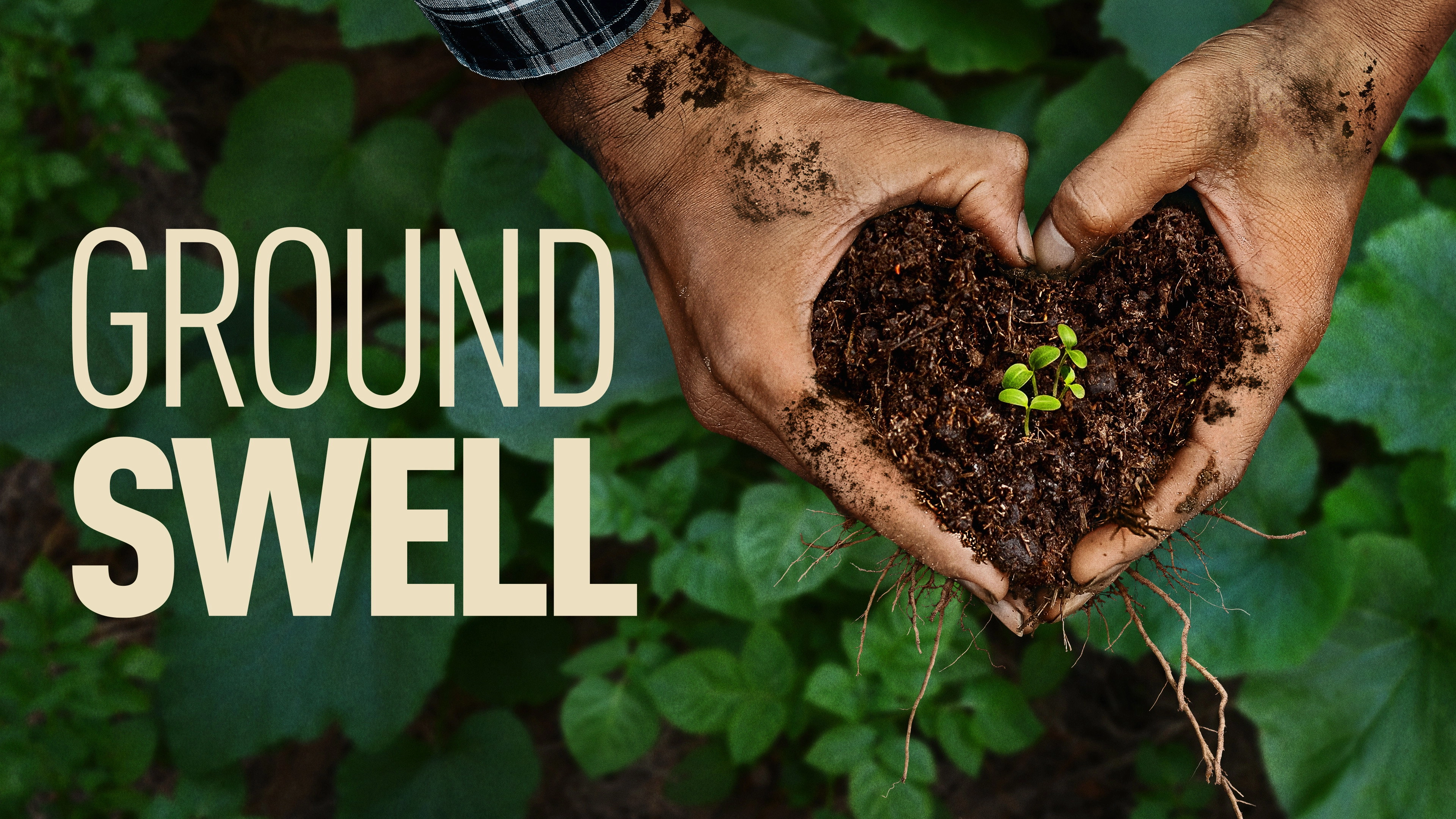Groundswell
