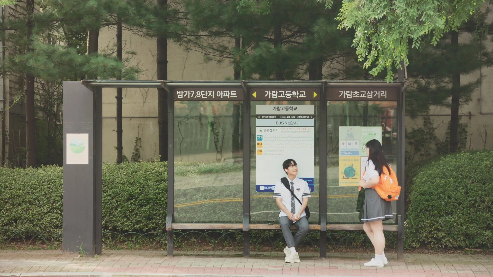 Adult Trainee