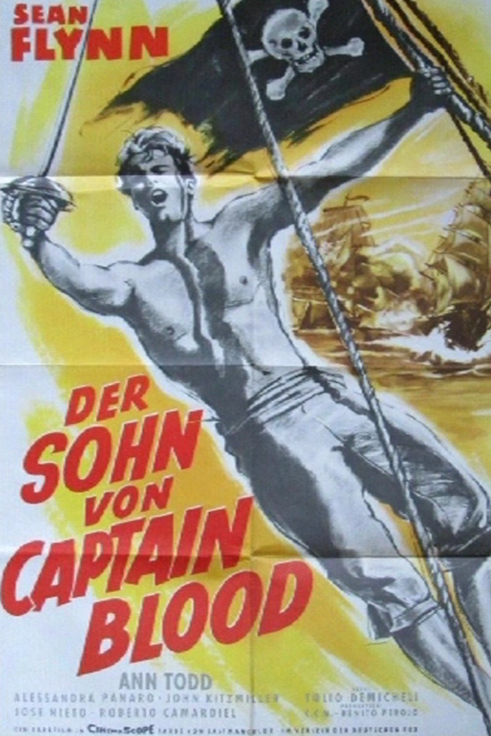 The Son of Captain Blood