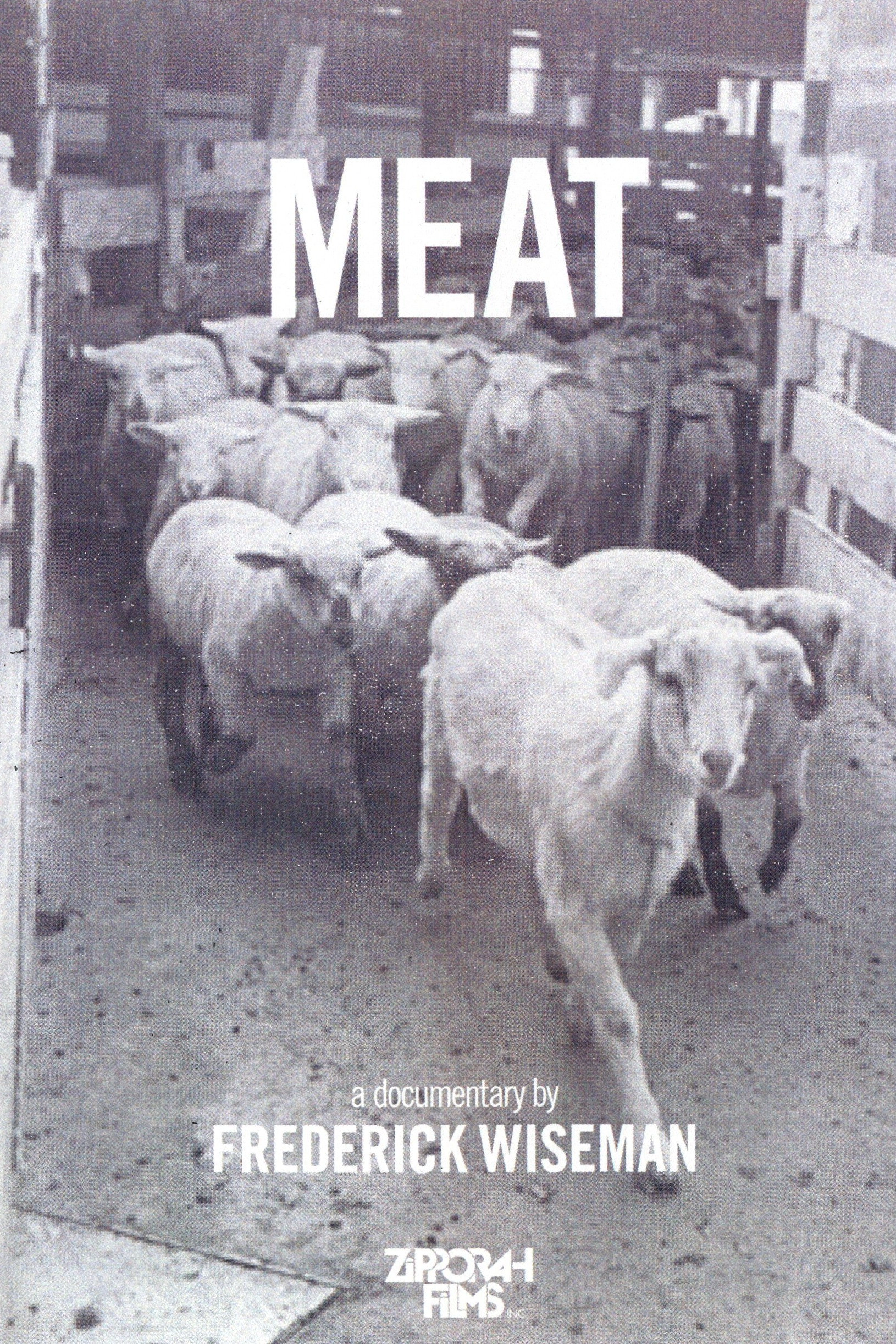 Meat