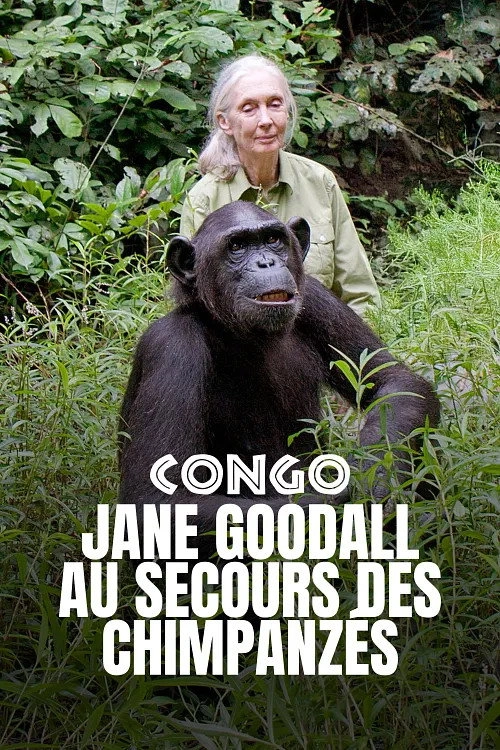 Schimpansen im Kongo mit Jane Goodall