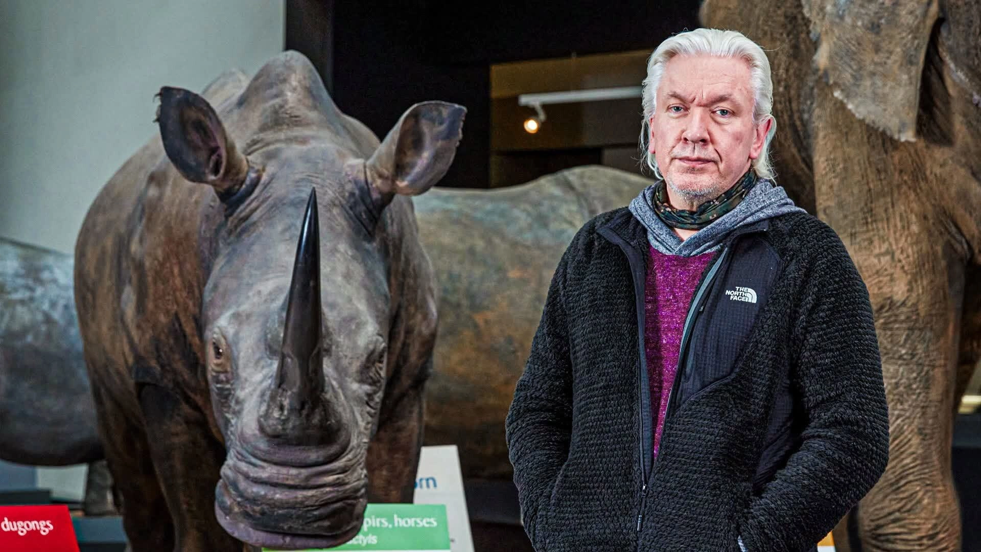 Natural History Museum: World of Wonder