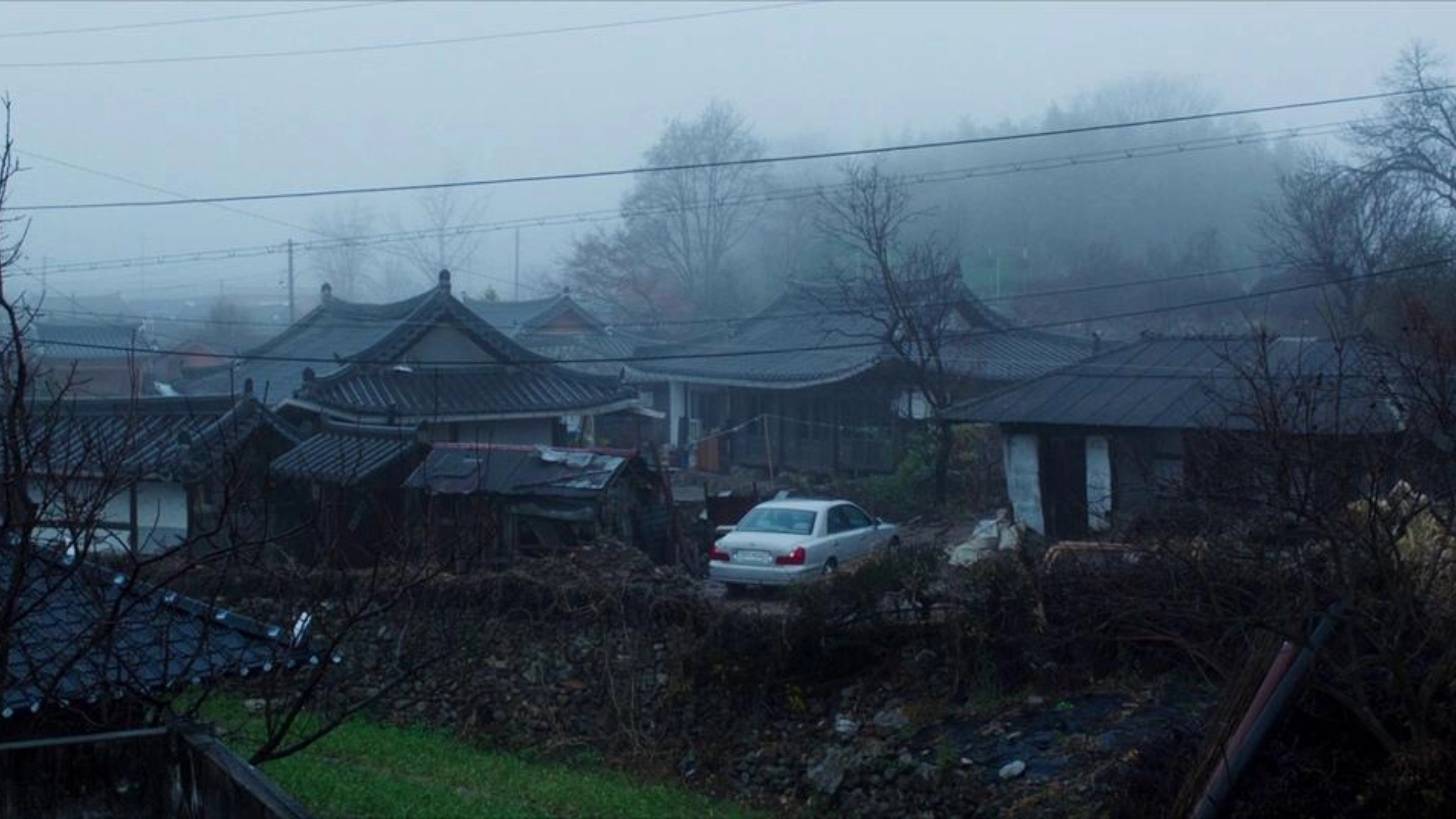 The Wailing