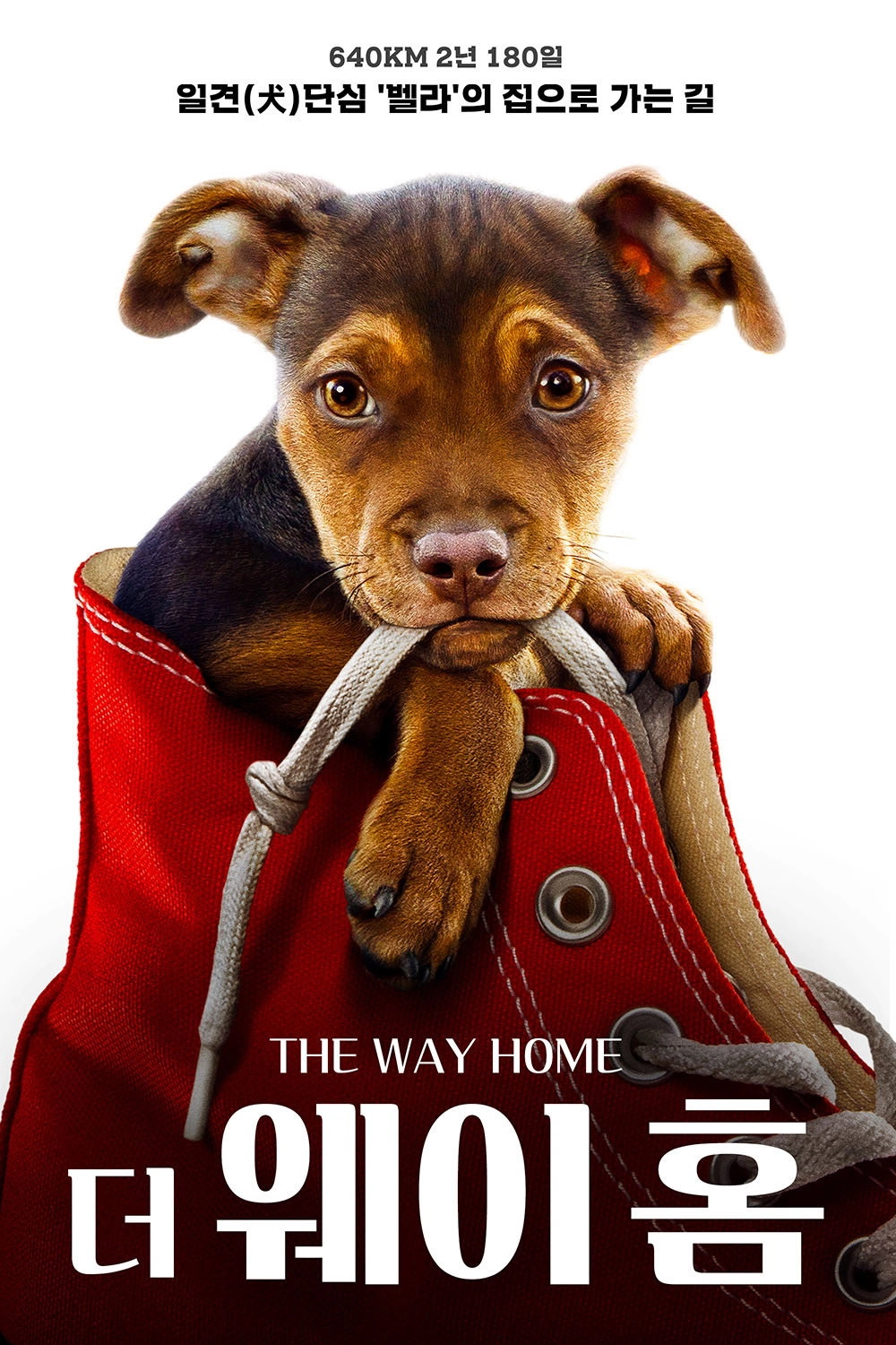 A Dog's Way Home