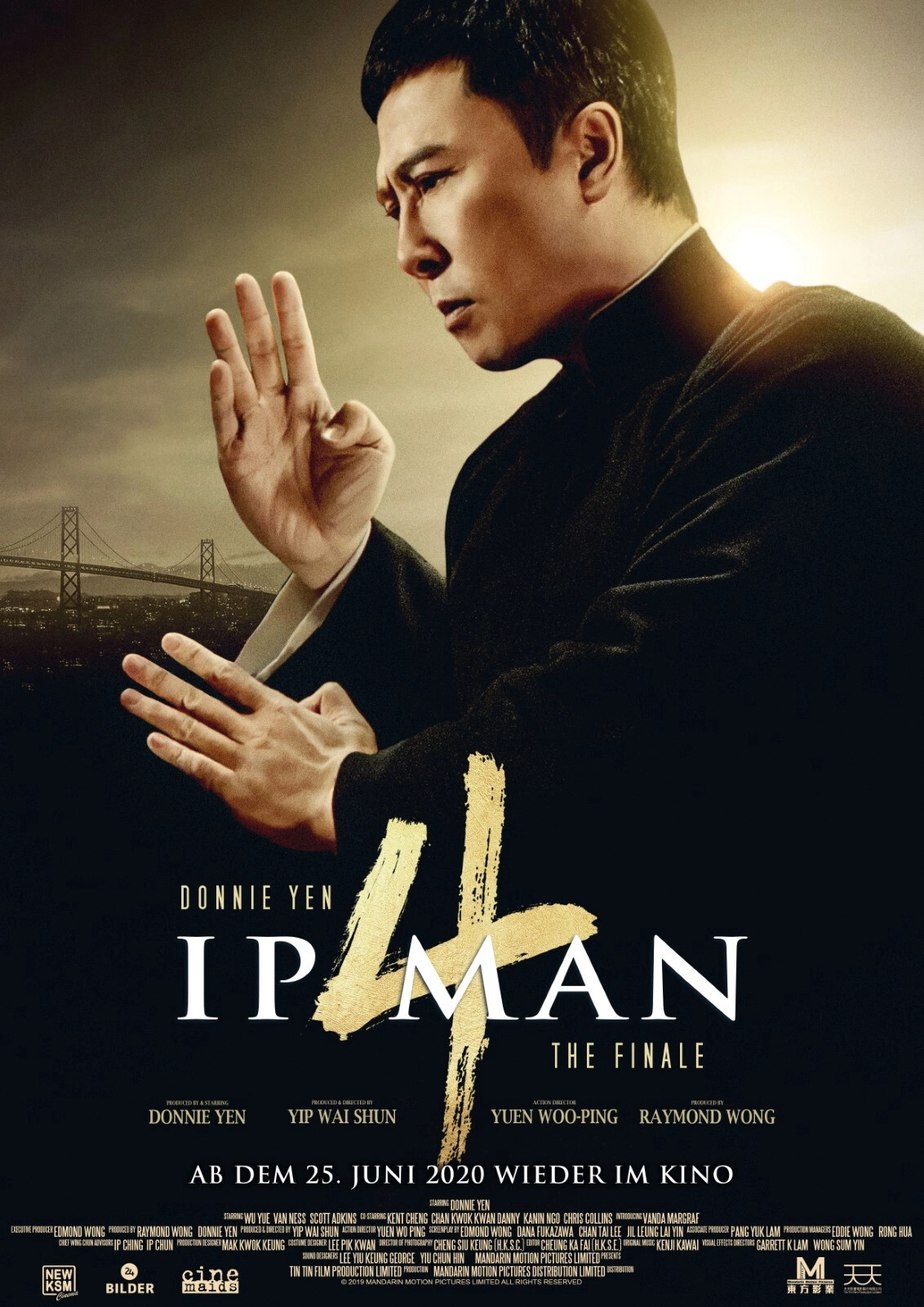 Ip Man 4: The Finale