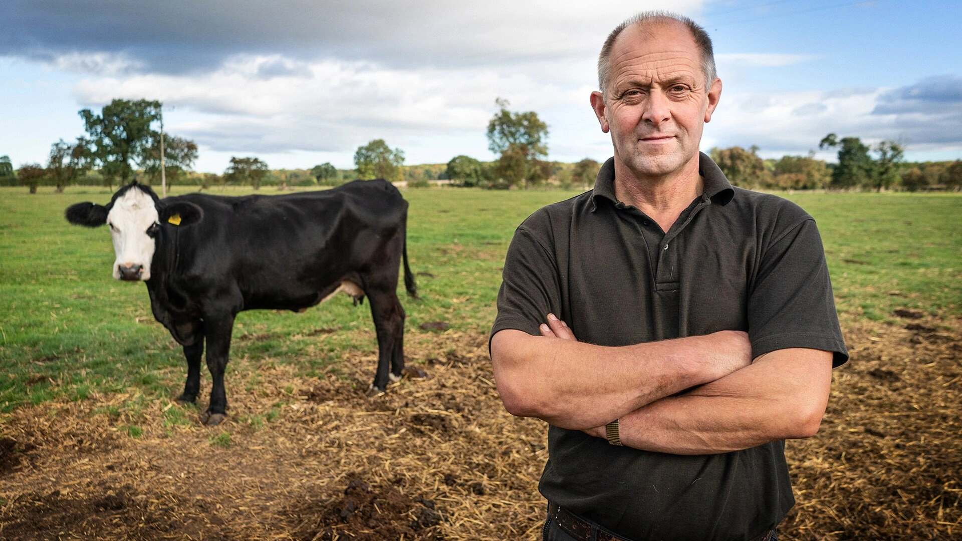 The Yorkshire Vet