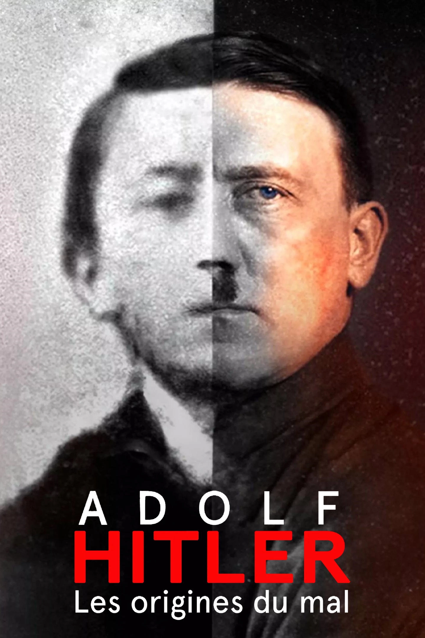 Hitler: The Rise and Fall
