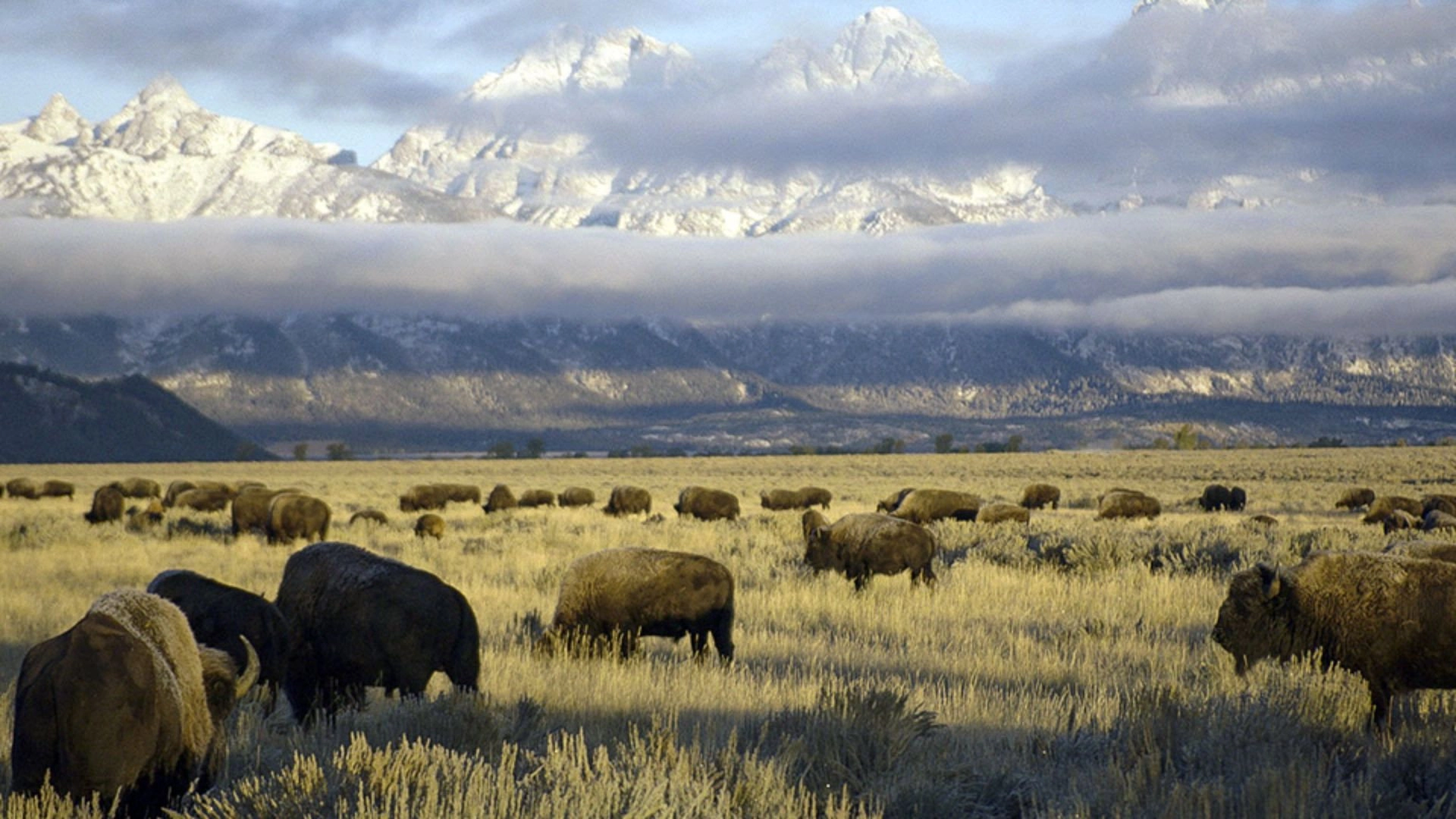 America's National Parks