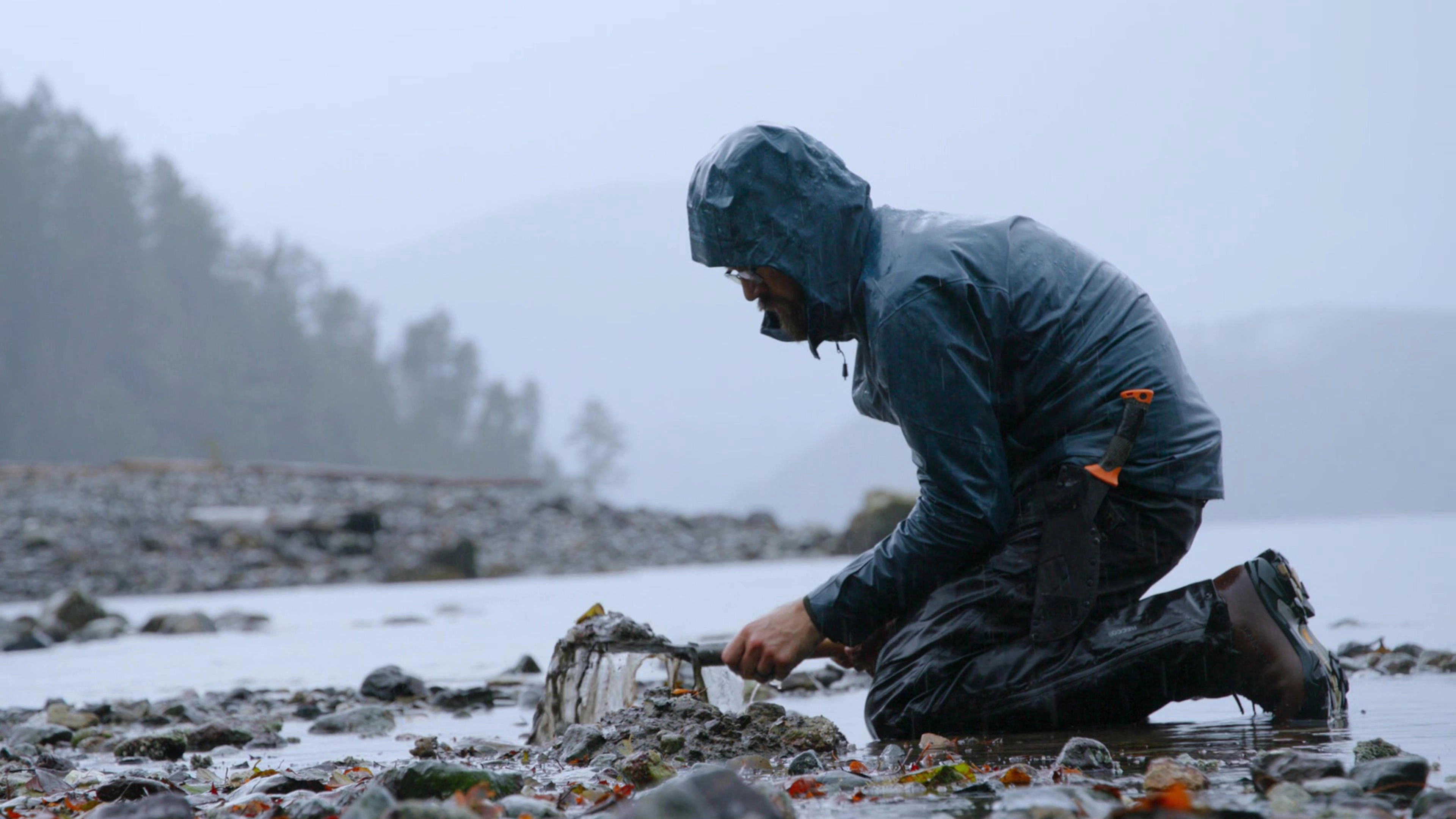 Chefs vs Wild