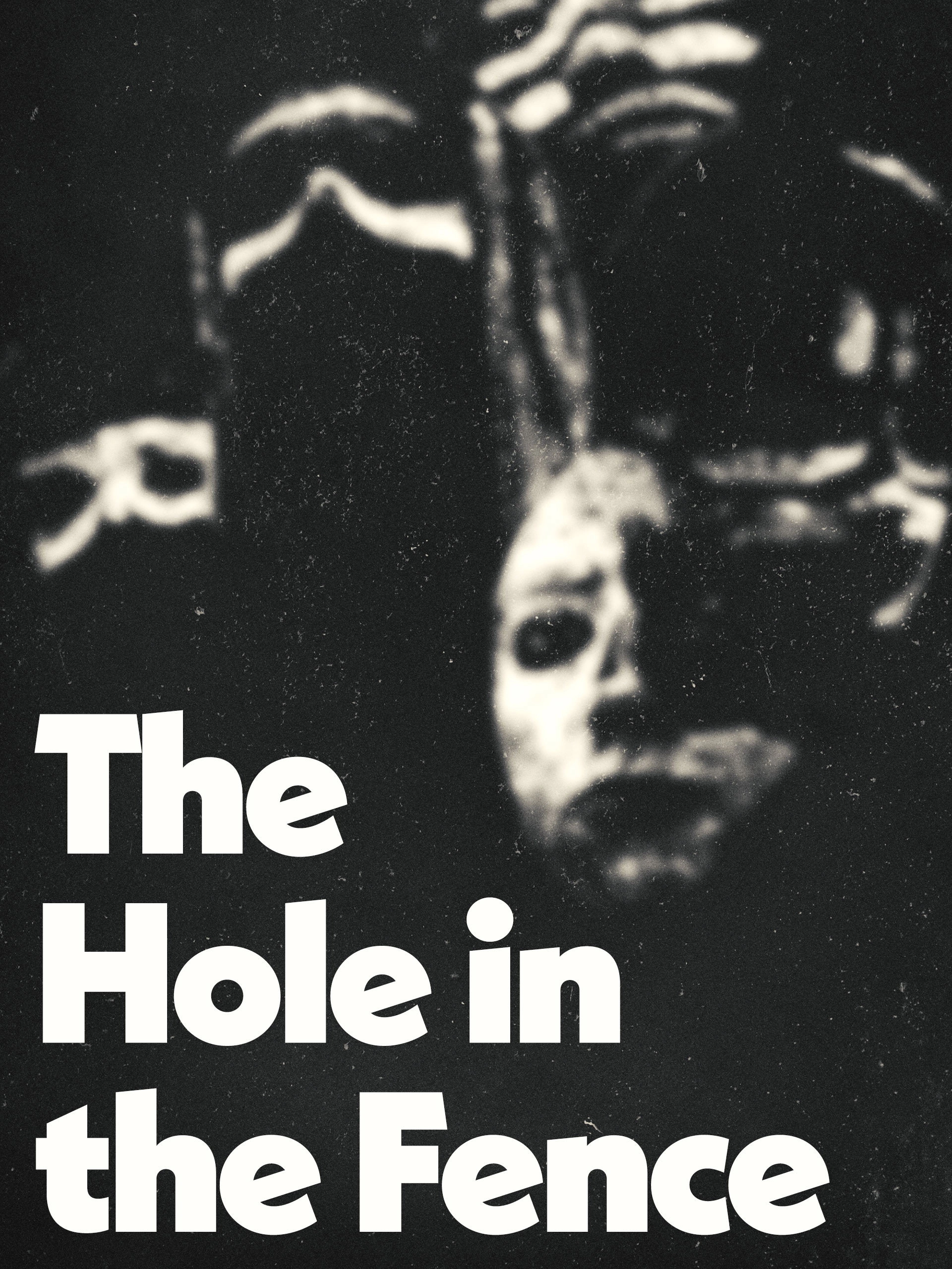The Hole in the Fence