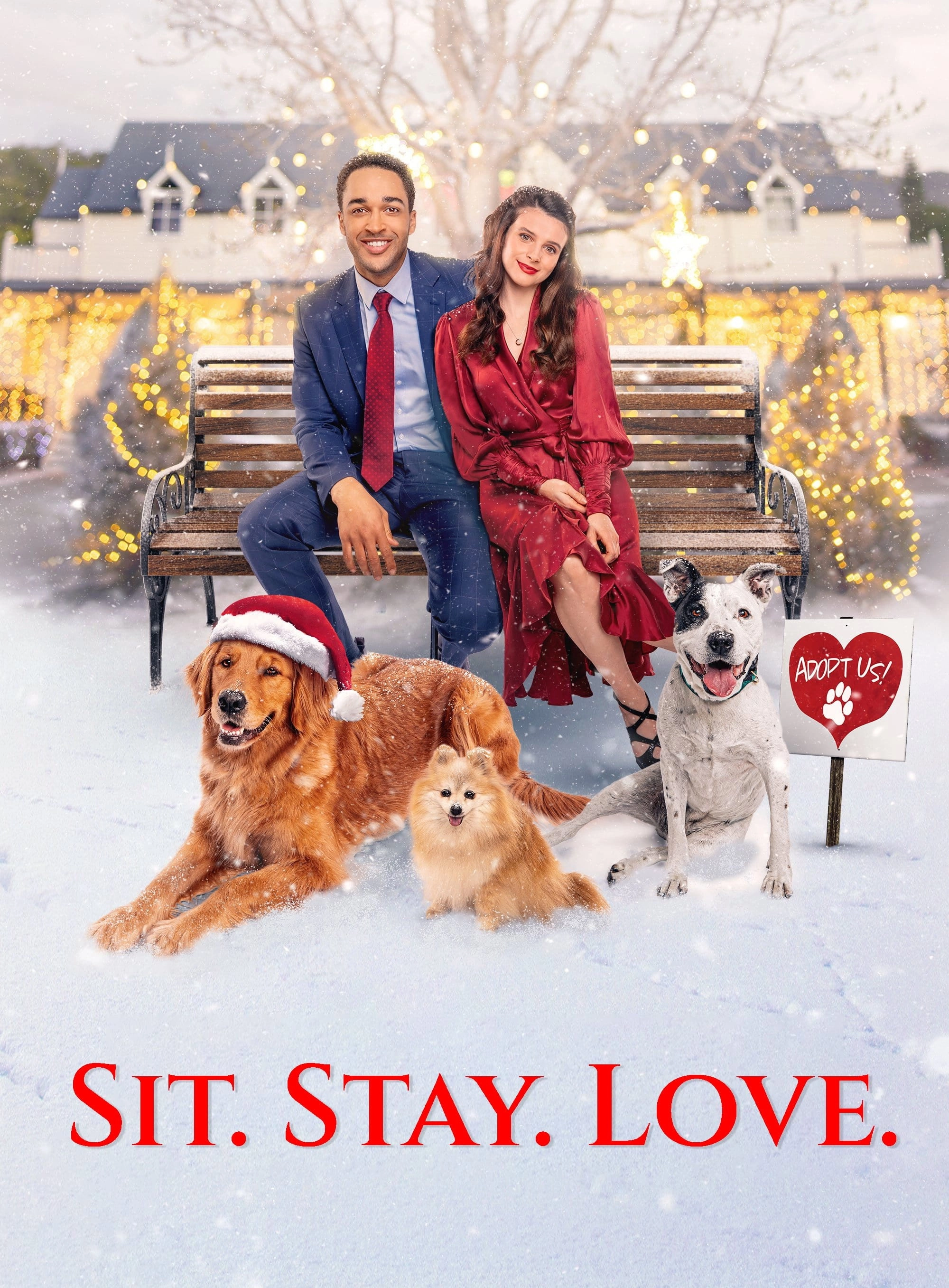 The Dog Days of Christmas