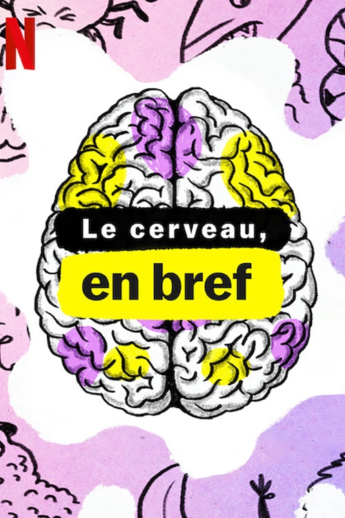 The Mind, Explained