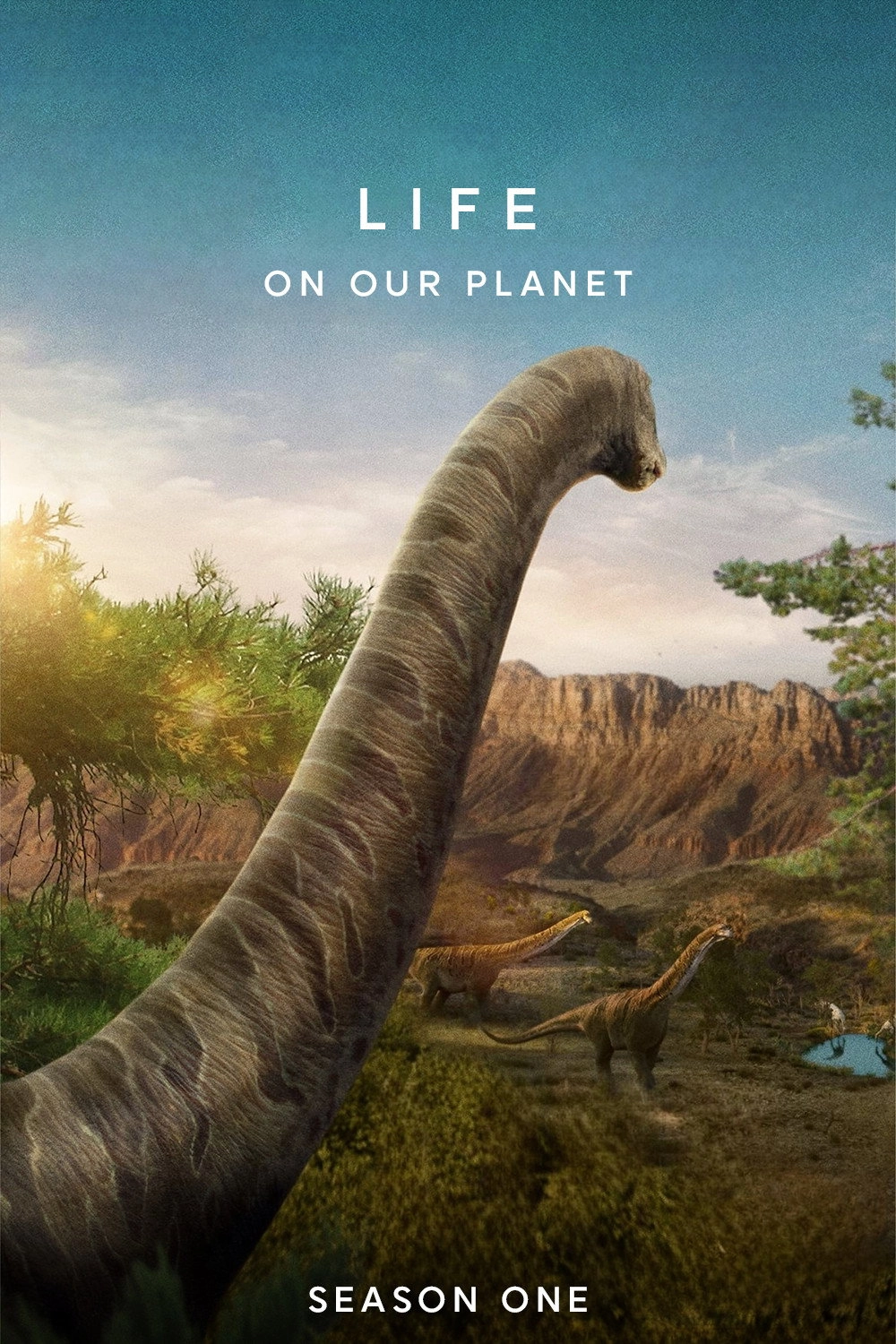 Life on Our Planet