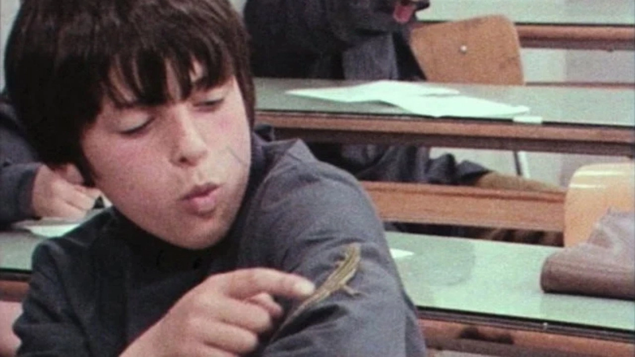 Diary of a School Teacher