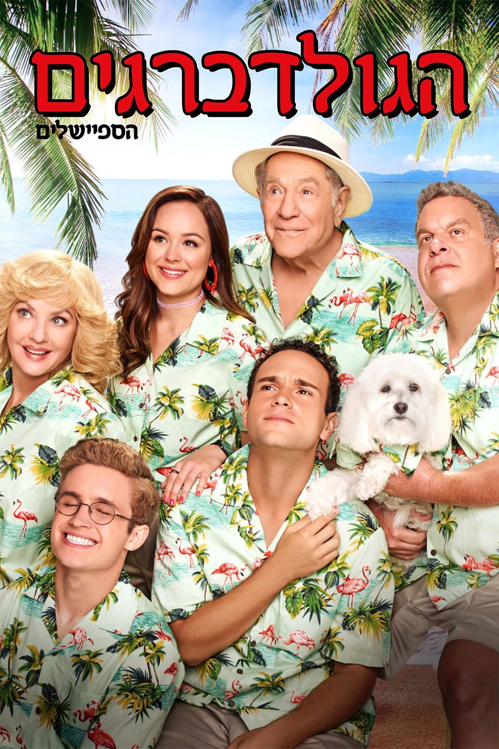 The Goldbergs