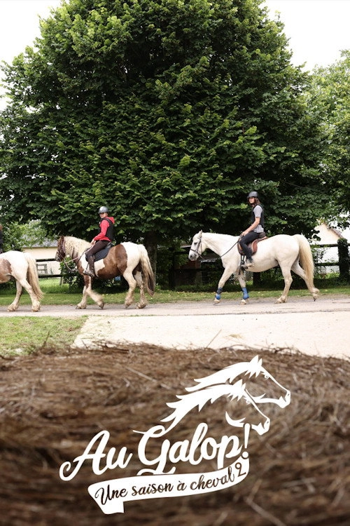 Au galop ! une saison à cheval