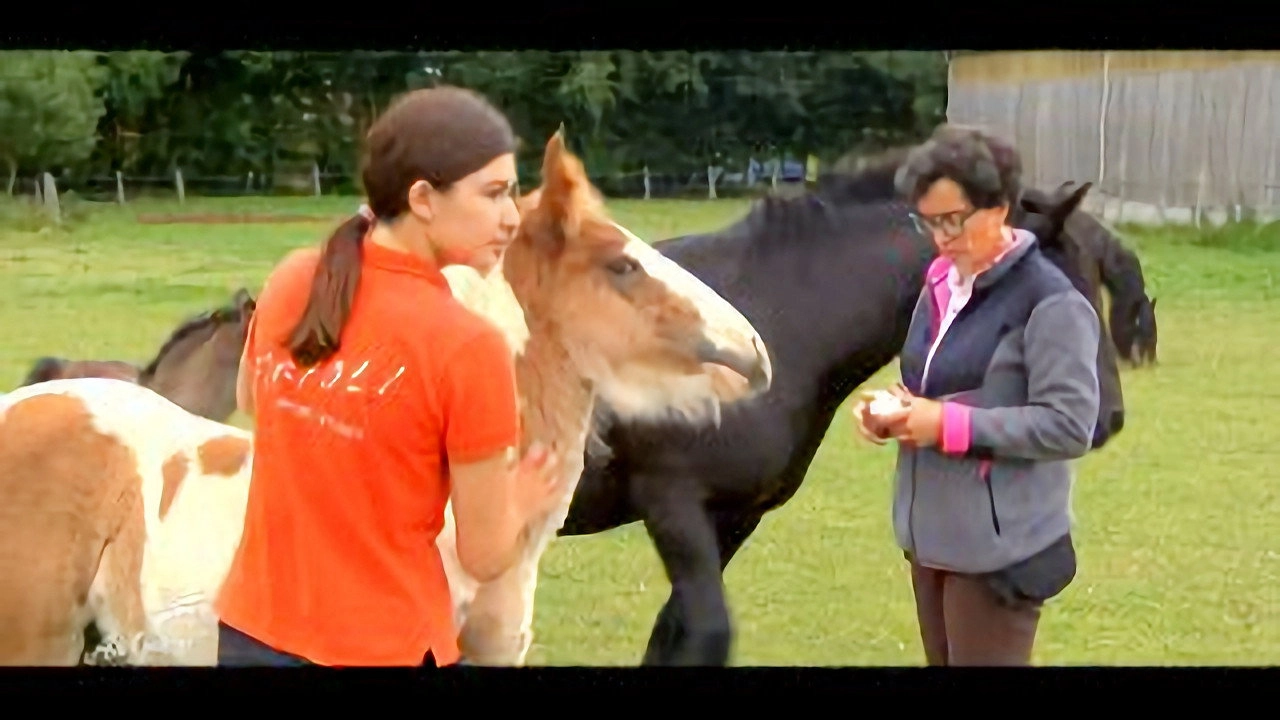 Au galop ! une saison à cheval