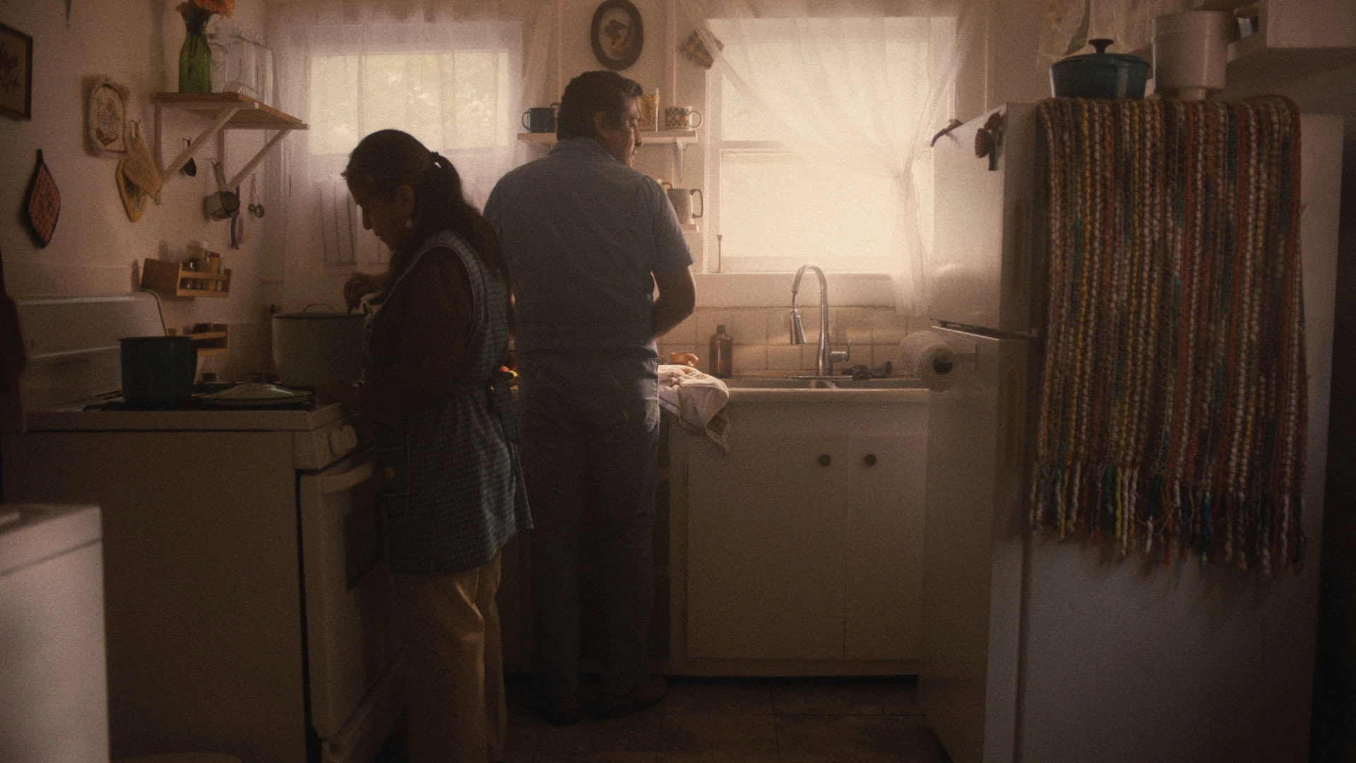 Ballad of an Immigrant with Memory