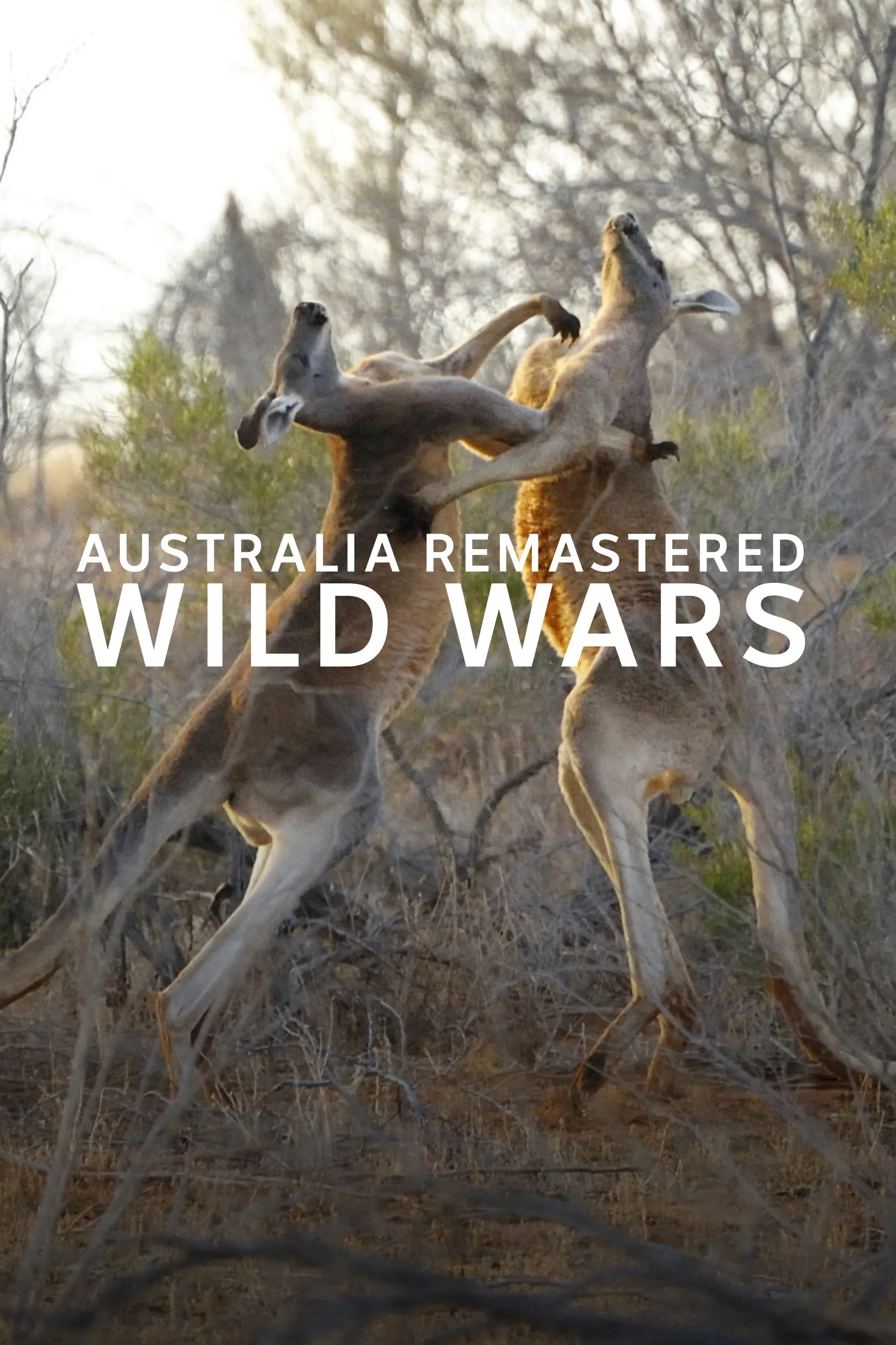 Australia Remastered
