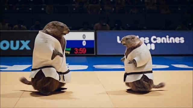 Les Marmottes