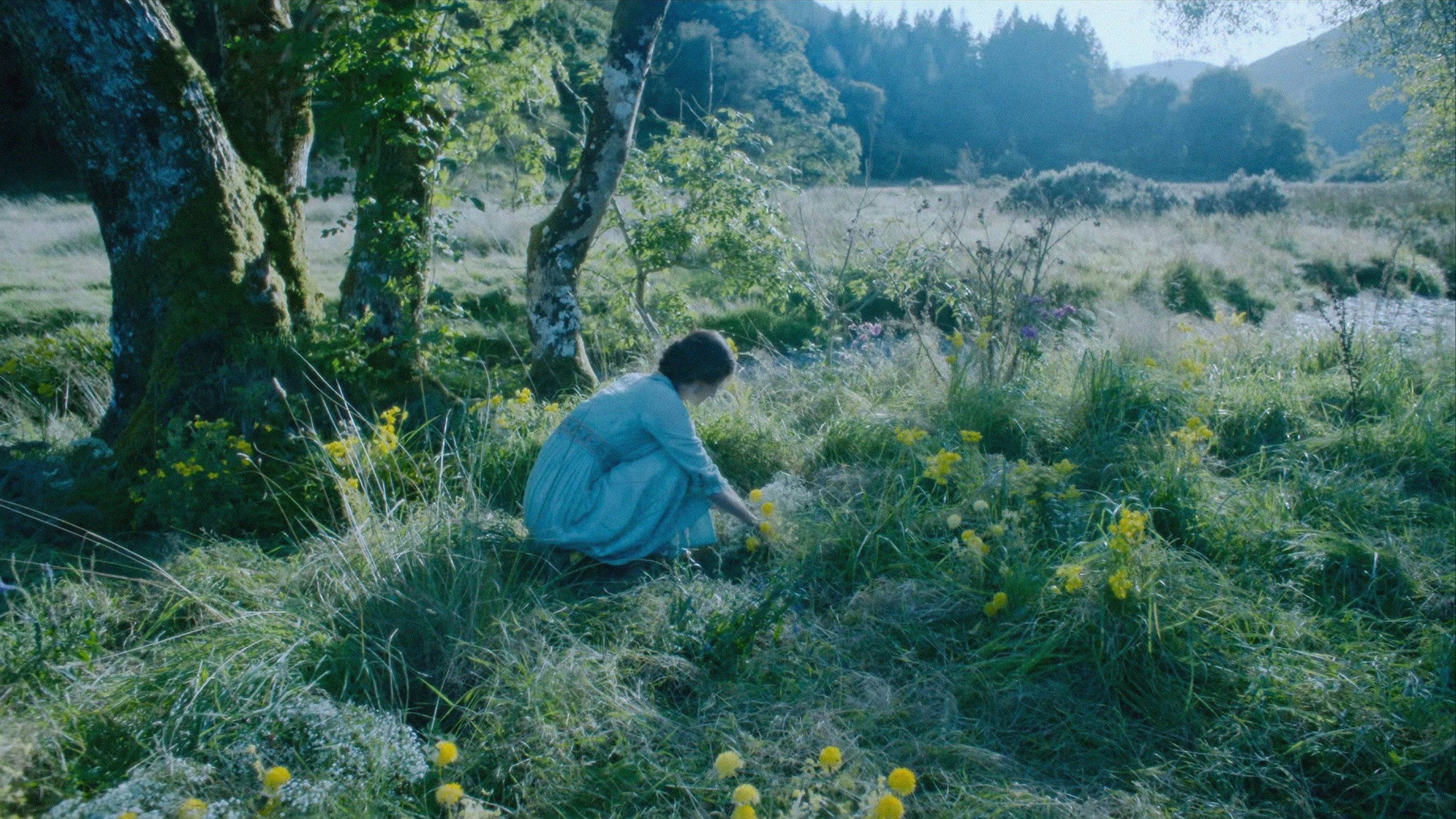 Lady Chatterley's Lover