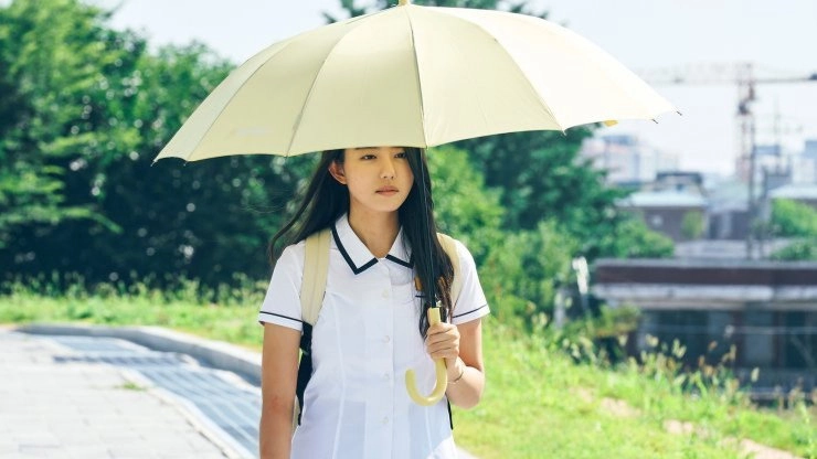 Our Beautiful Summer