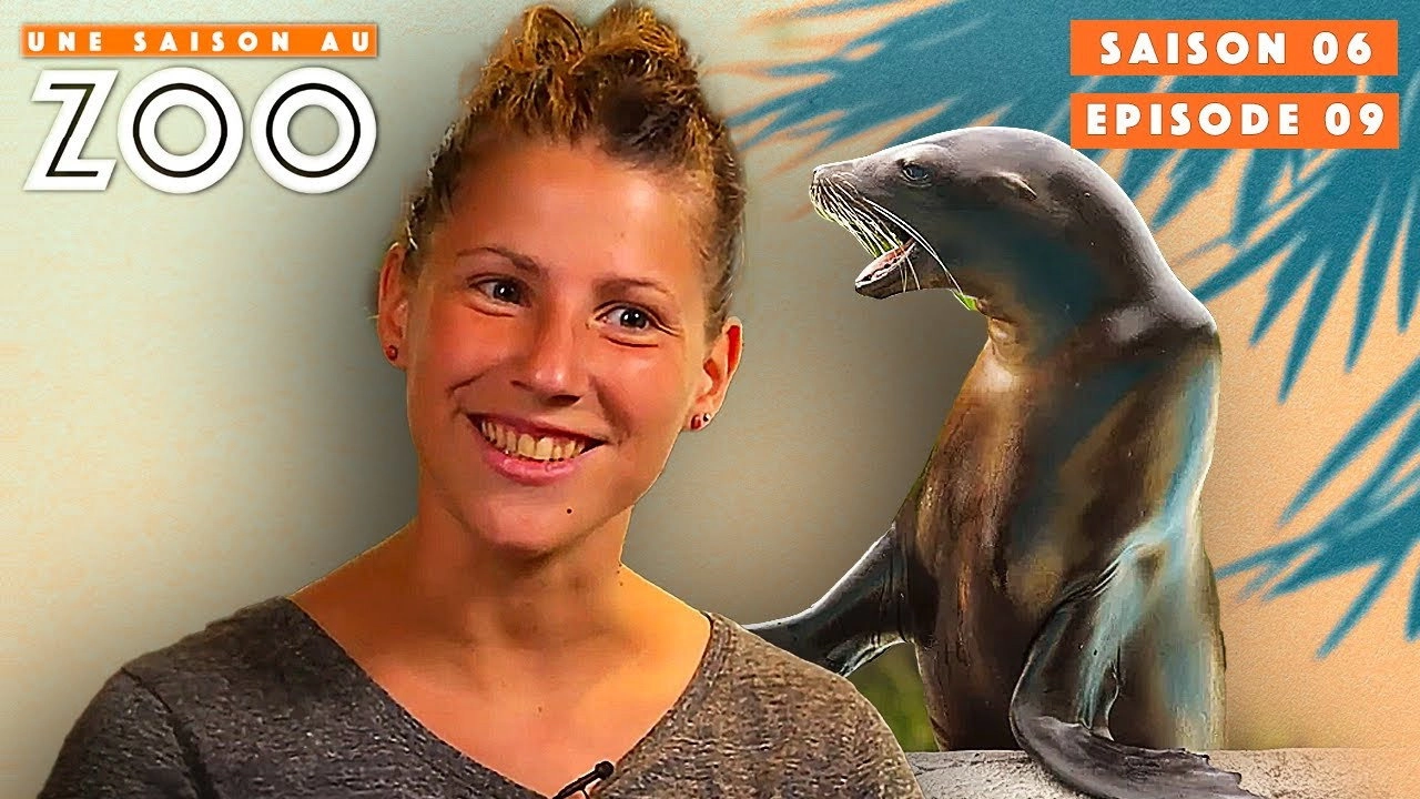 Une saison au zoo