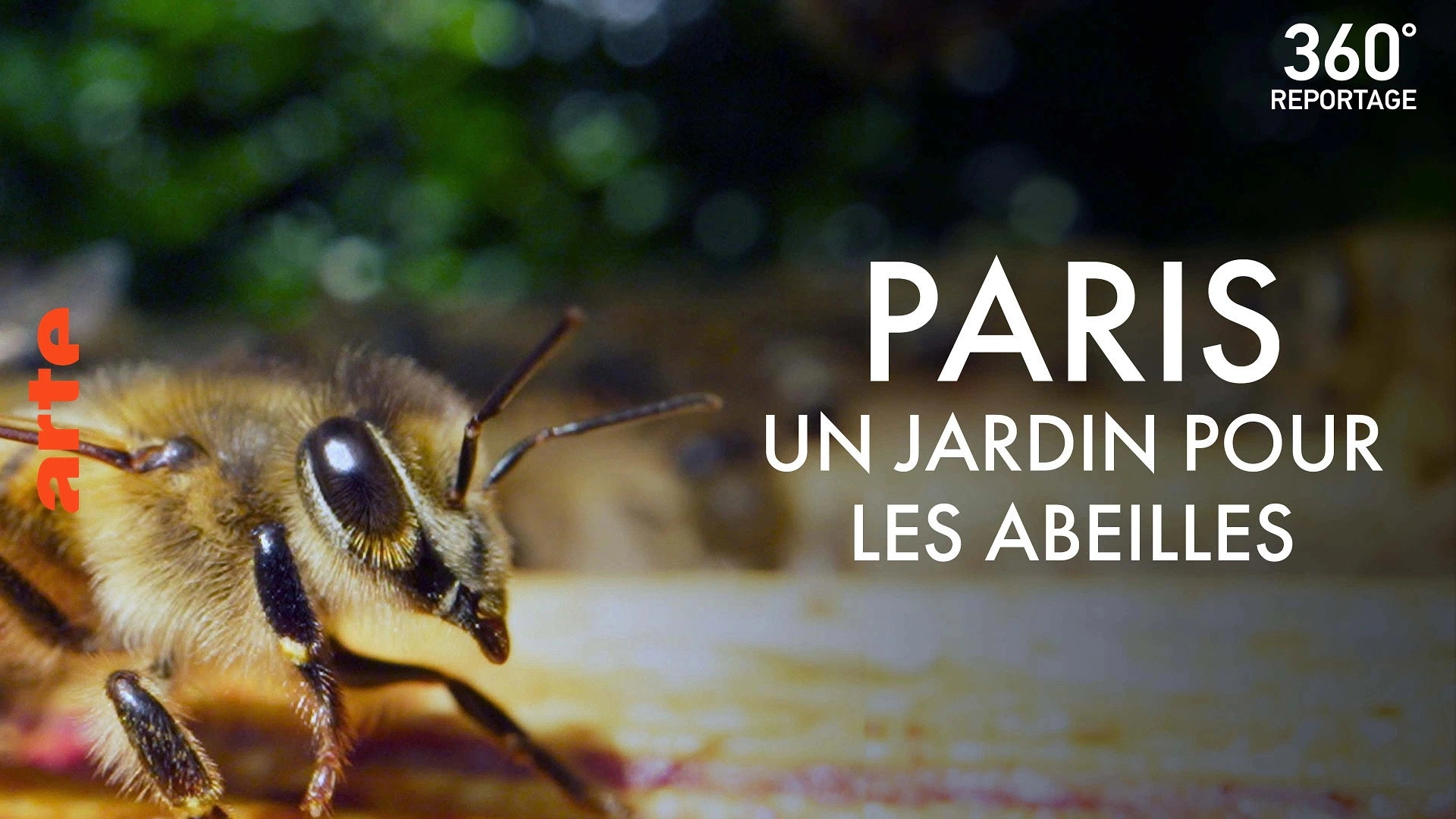360° Reportage