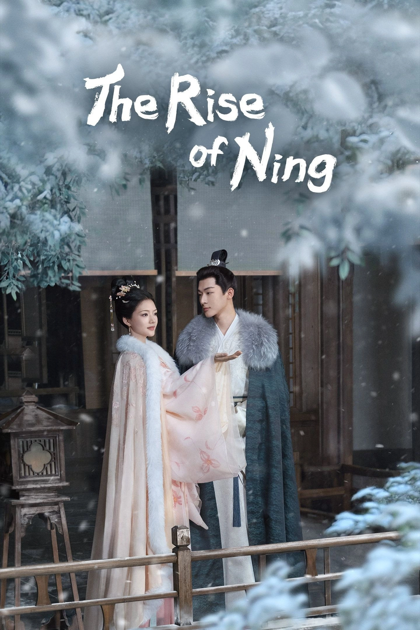 The Rise of Ning