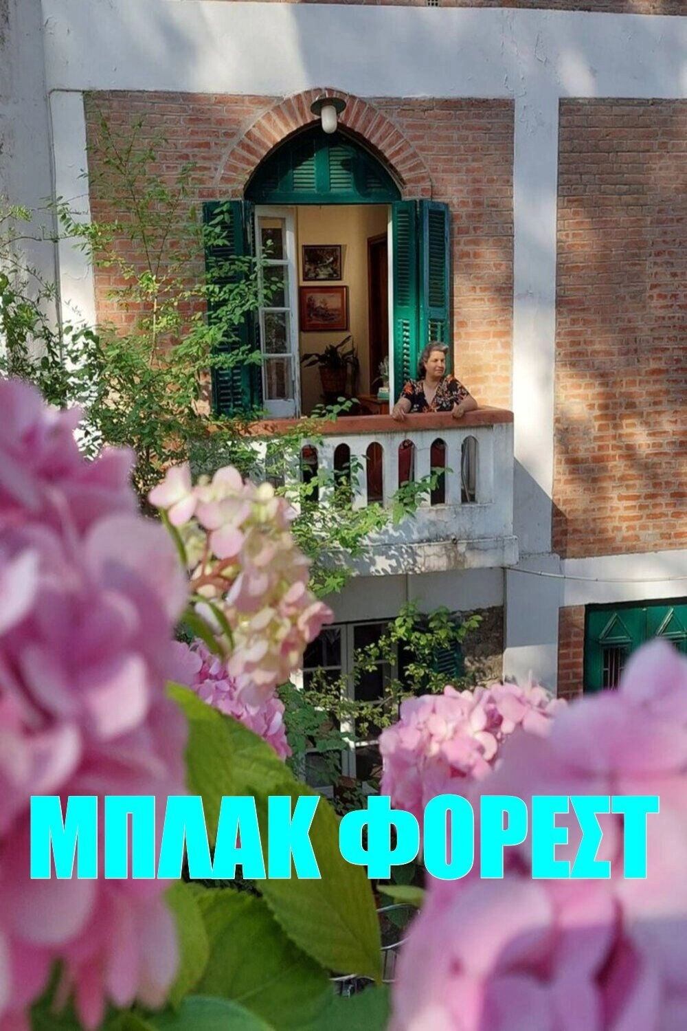 Μπλακ Φόρεστ