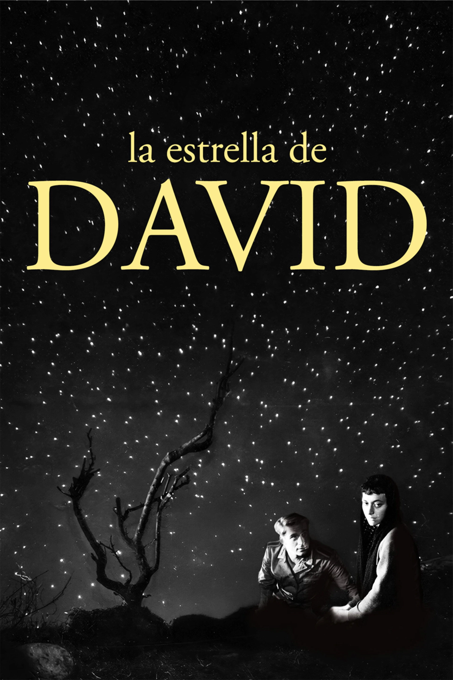 Stars