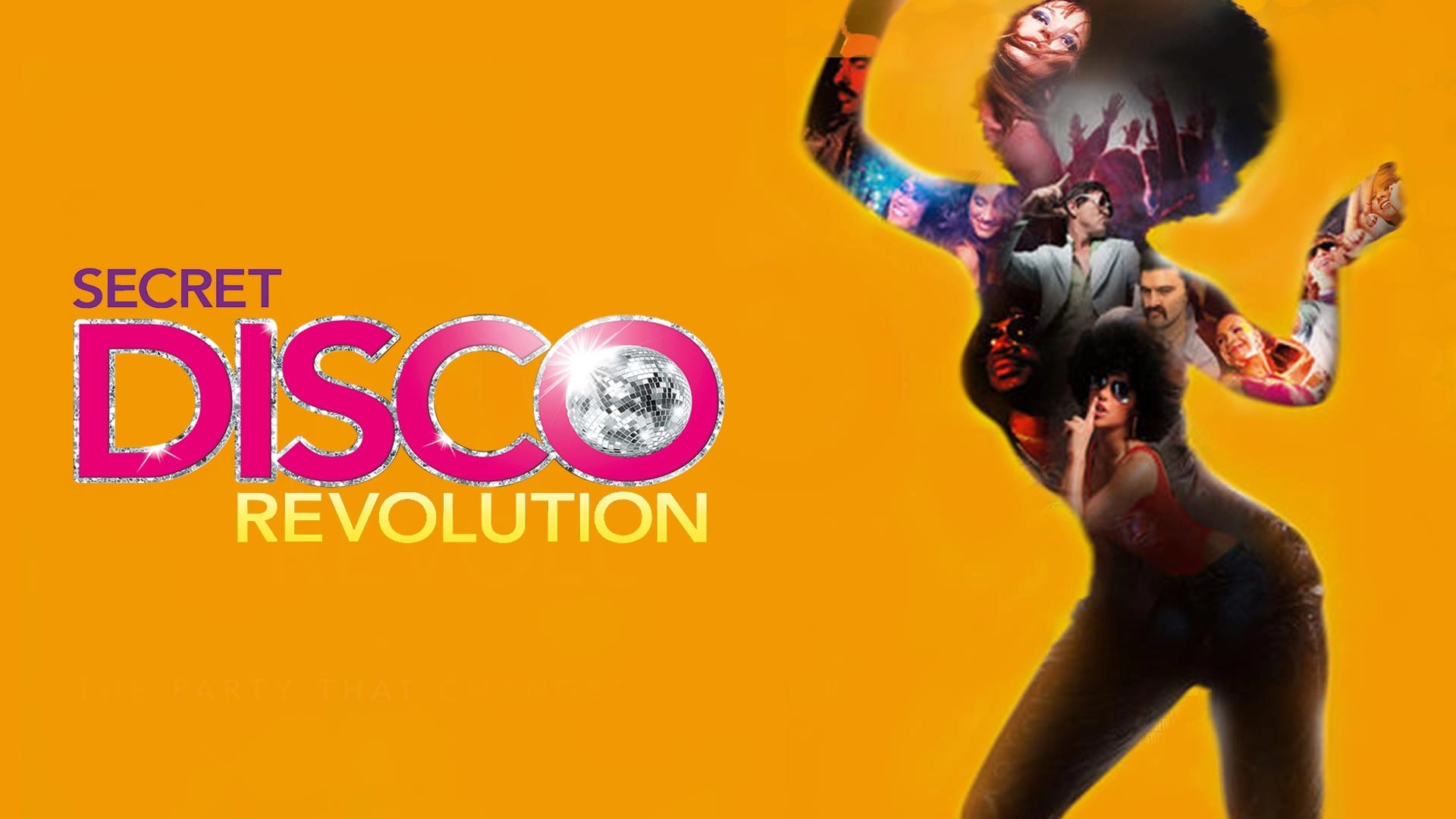 The Secret Disco Revolution
