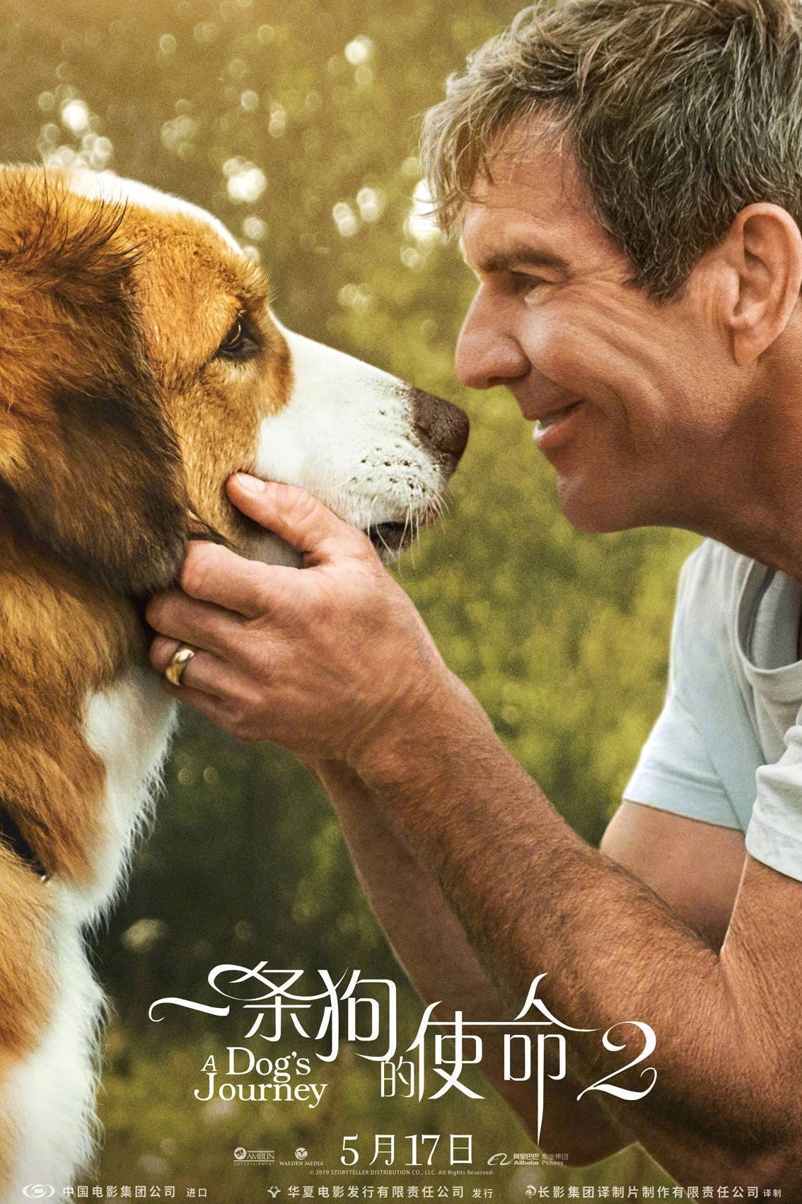 A Dog's Journey