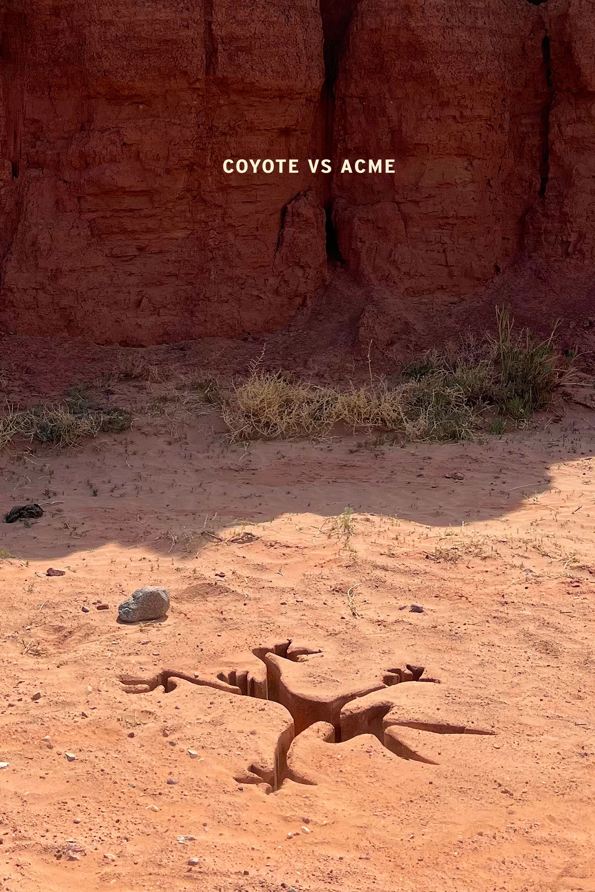 Coyote vs ACME