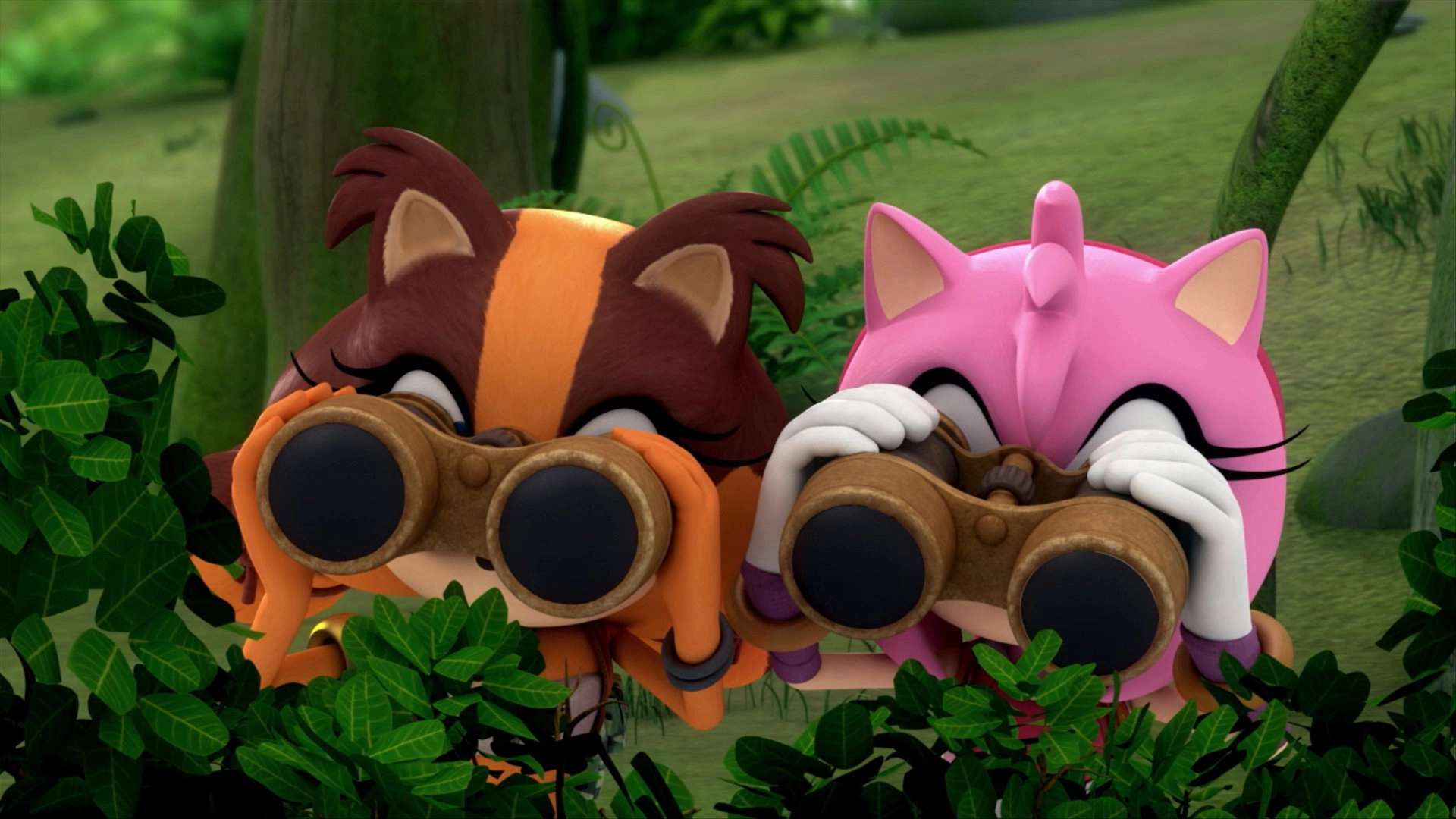 Sonic Boom