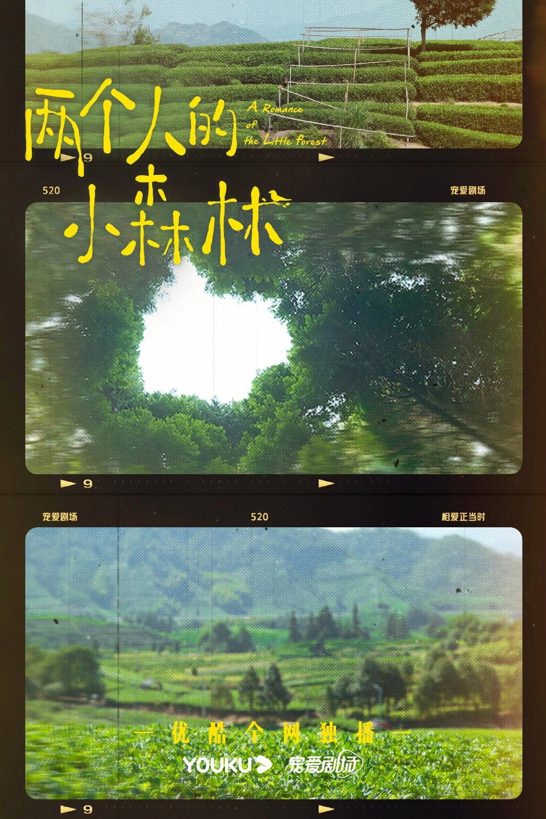 A Romance of the Little Forest