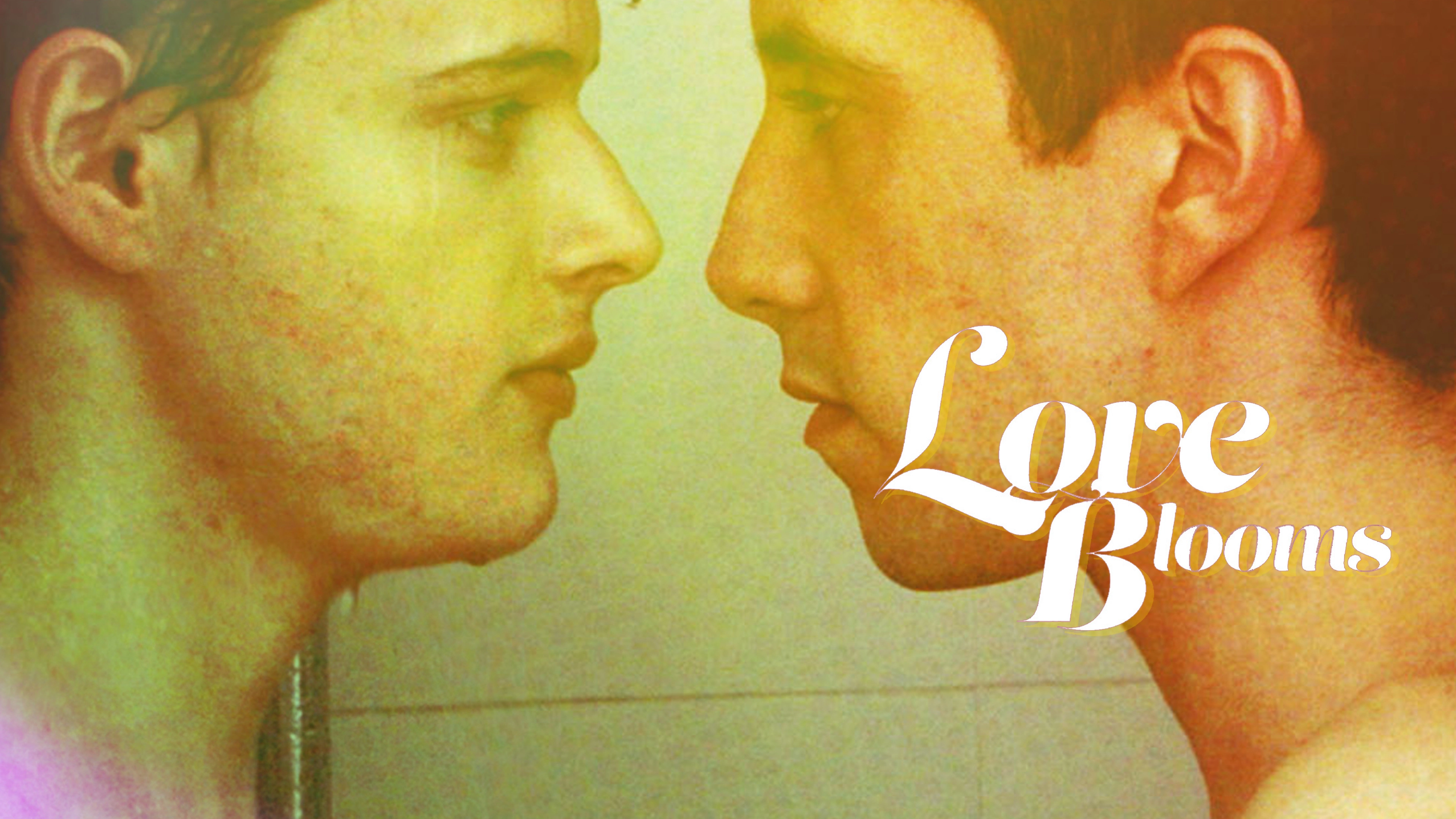 Love Blooms