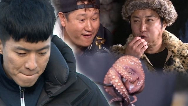 Law of the Jungle