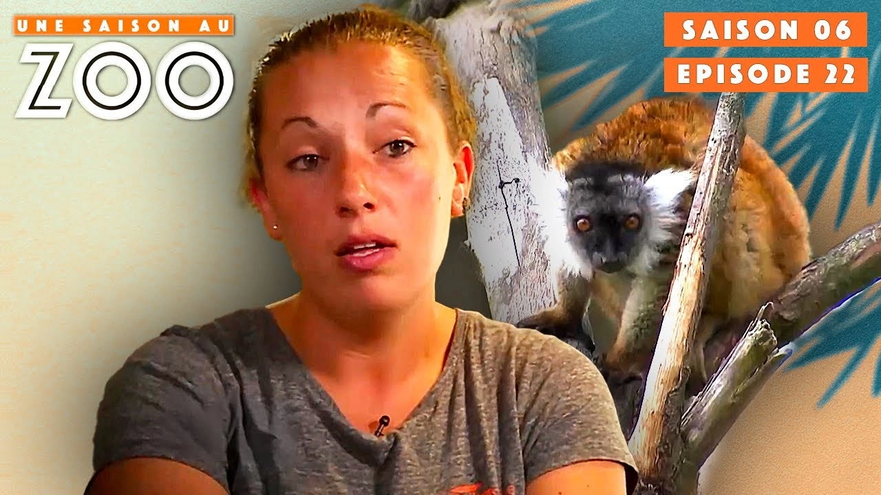 Une saison au zoo