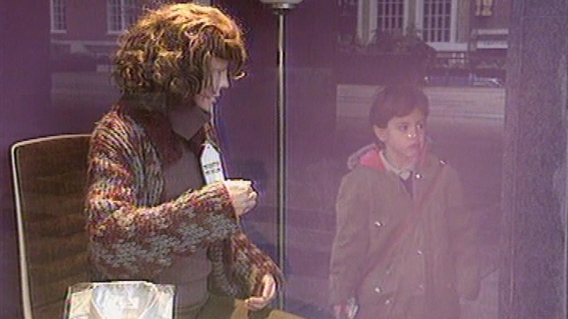 30 Years in the TARDIS