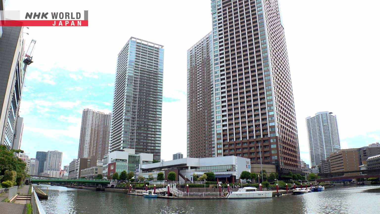 Dive in Tokyo