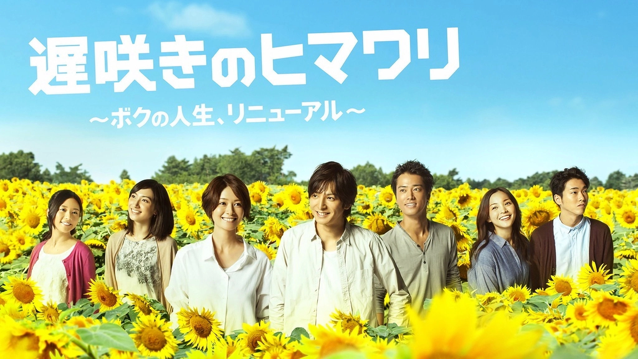 Late Blooming Sunflower My Life Renewed