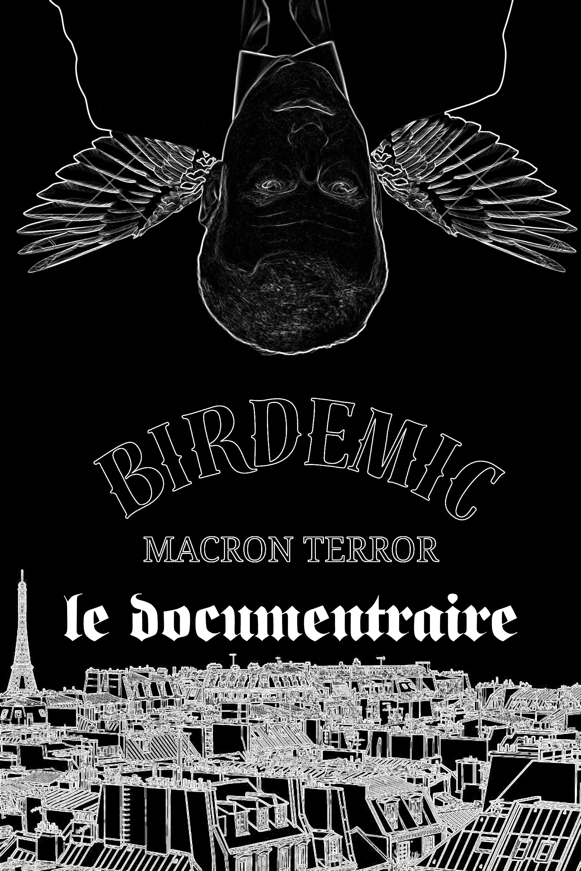 Birdemic Macron Terror : Le Documentaire "Bigger Than Life"