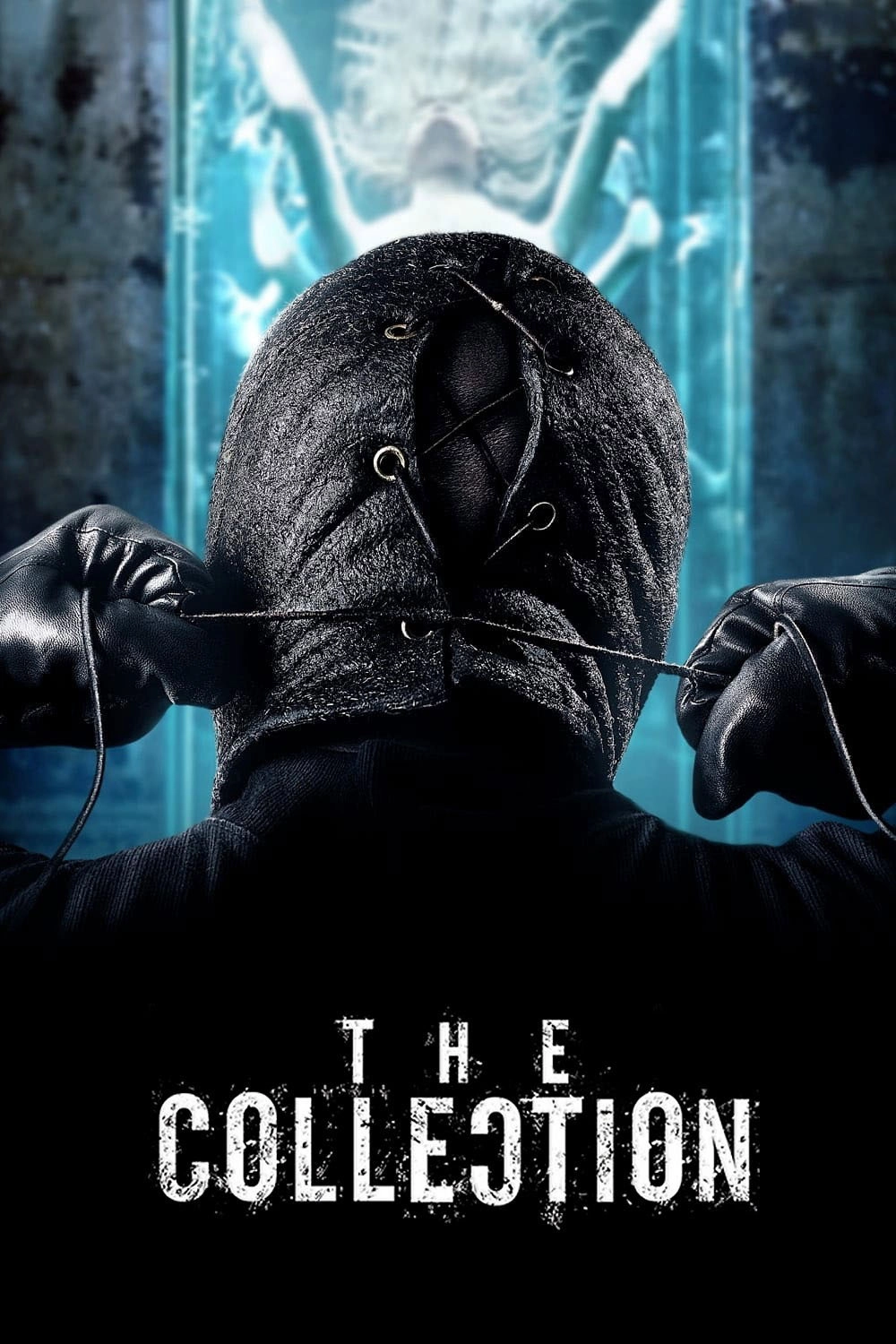 The Collection