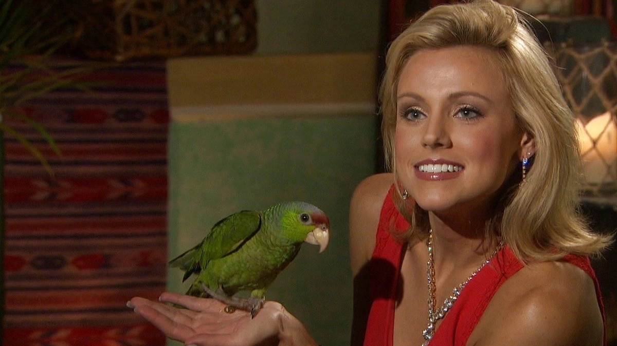 Bachelor in Paradise