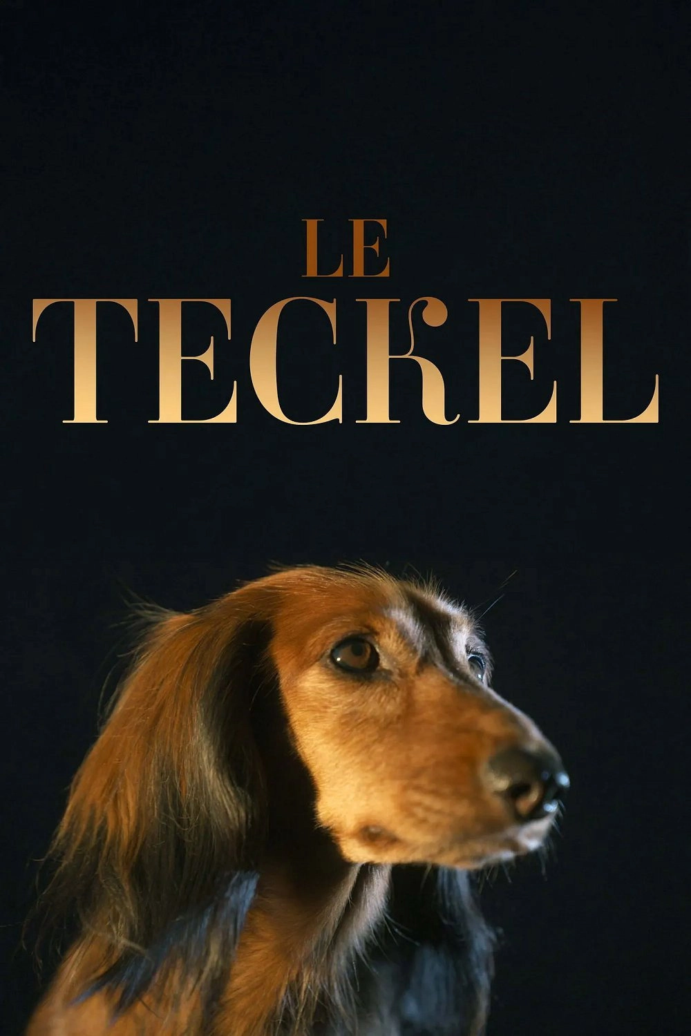 The Dachshund